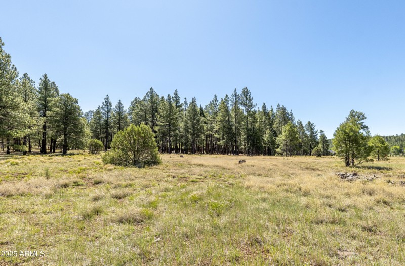 P2233381