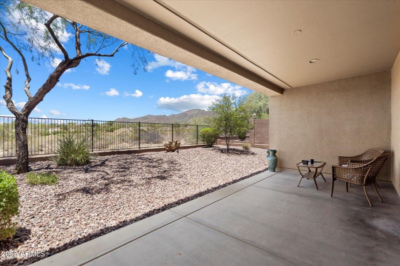 Morning Back Yard View