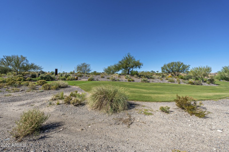 Goldmine - Community-17