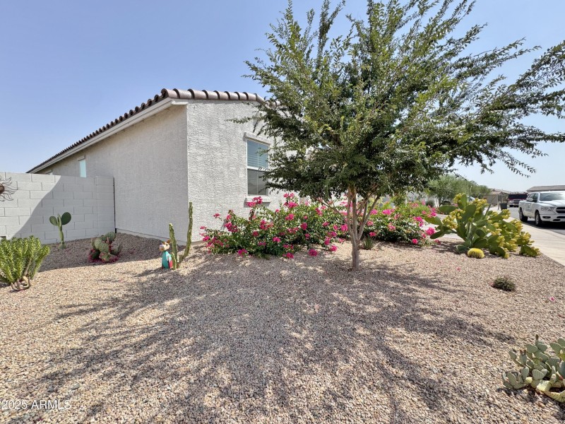 Beautiful landscaping