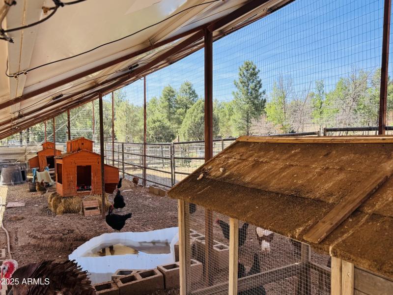 Enclosed chicken coops
