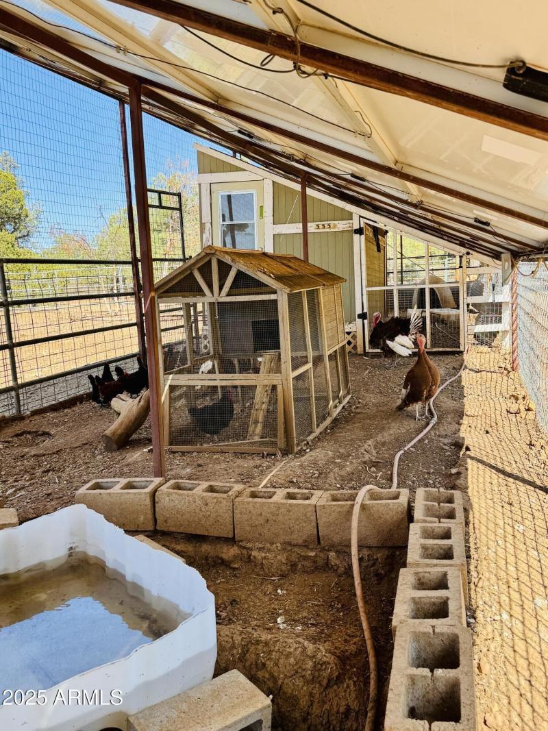 2nd part chicken coops