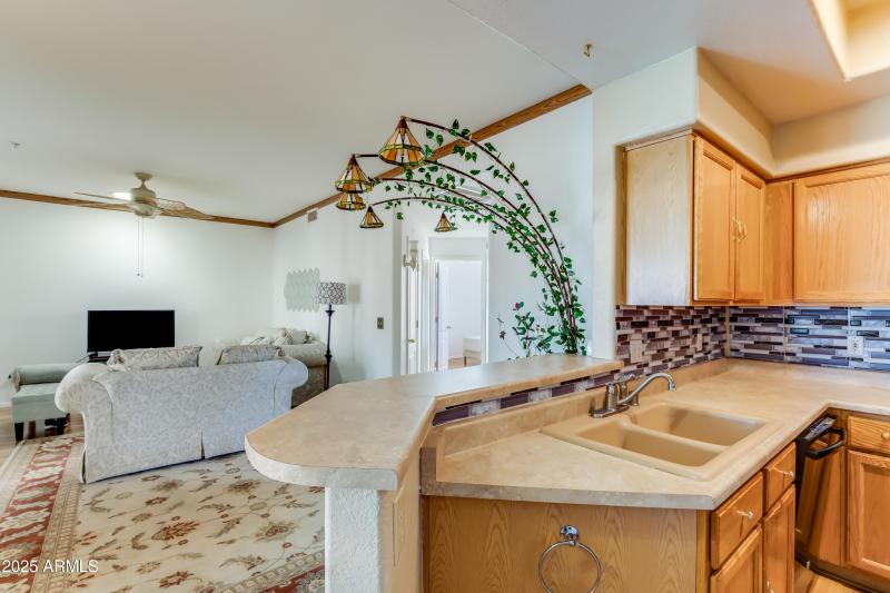 9151 W Greenway Unit 252-8