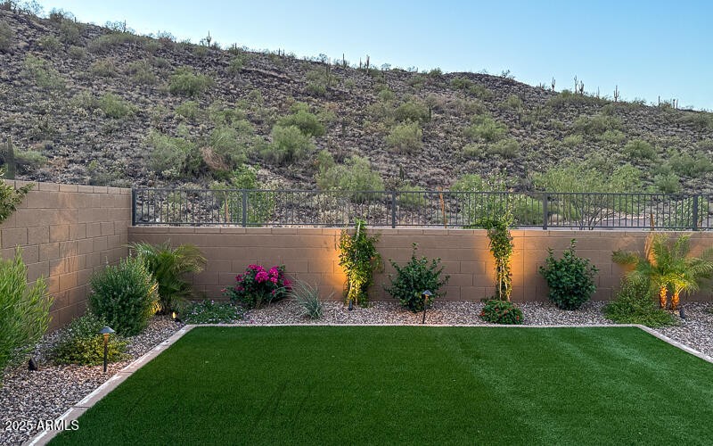 3258 W Via Dona RD- backyard view-2