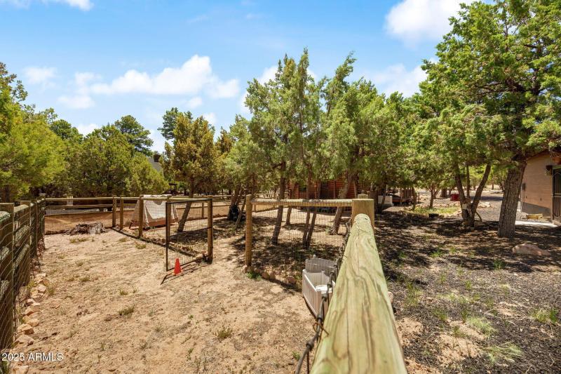 1464LowMountainTrail-Heber-AZ-24