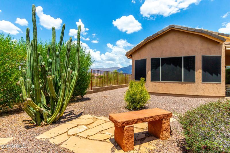 Beautiful Desertscape