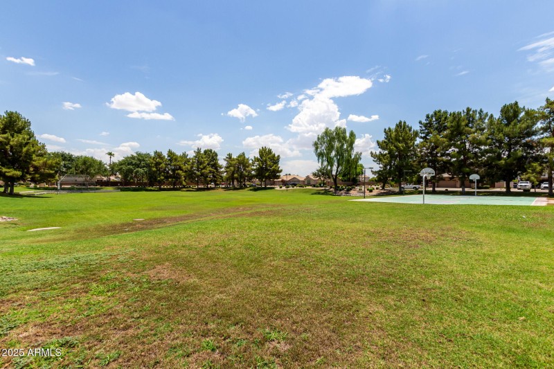 55- 1452 E Saragosa St, Chandler 85225