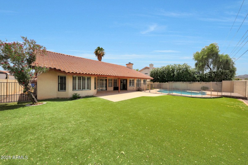 Backyard synthetic grass