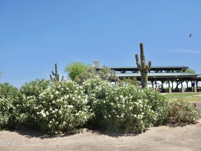 Johnson Ranch Clubhouse 2