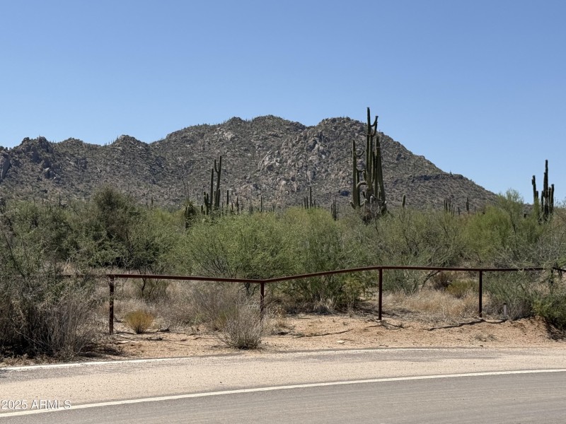 Lone Mountain 4