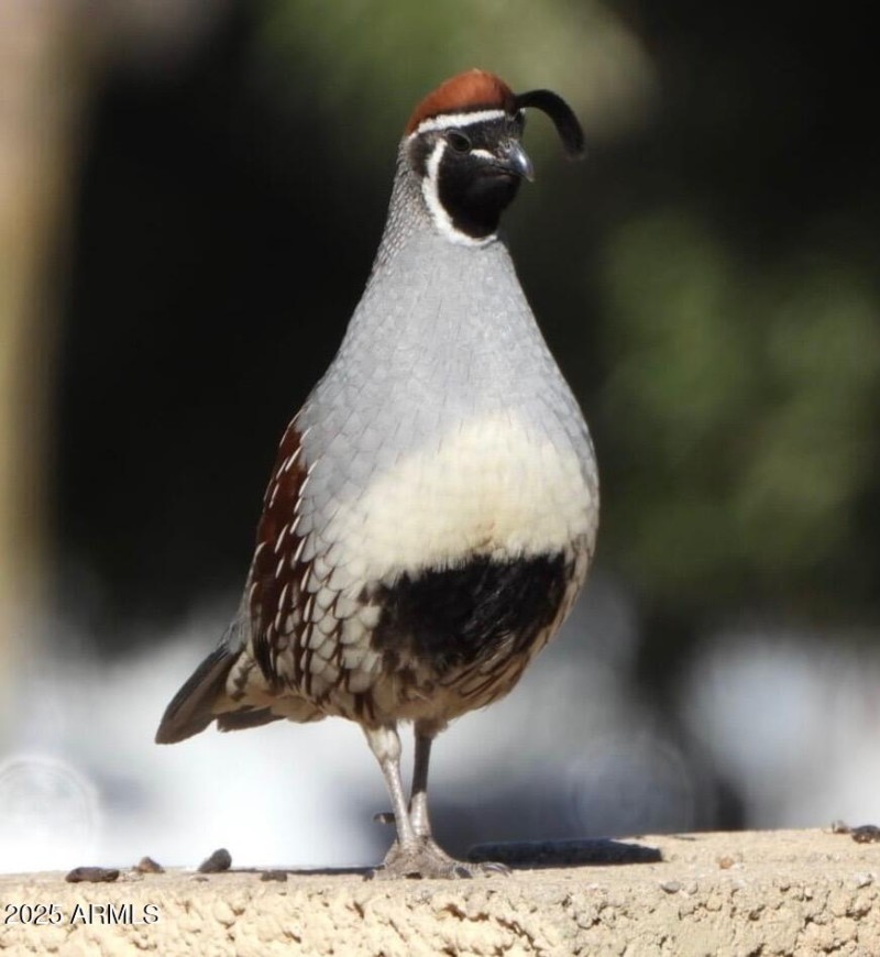 bfa27400-7107-4c59-ba1e-ef270c1fc880