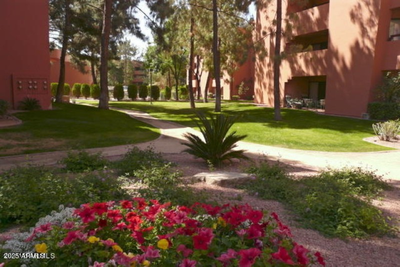 Anasazi Cactus Garden