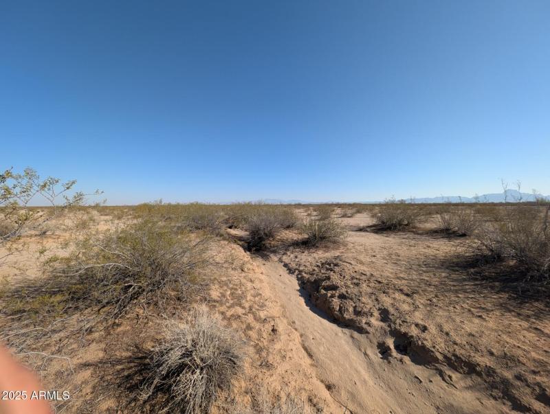 PXL_20250706_145816370