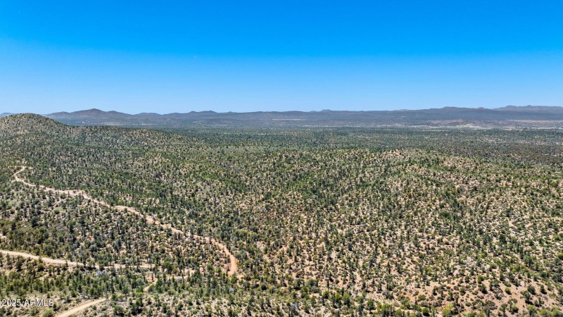 41-Aerial (3) (2)