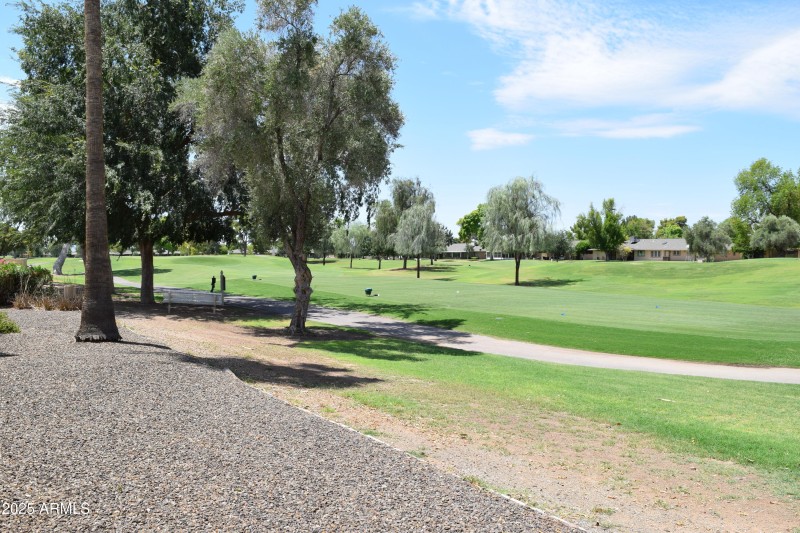 Tee Box Stardust Golf Course