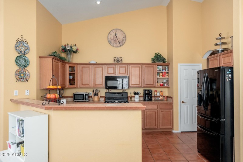 4541 E Brilliant Sky Dr - 10