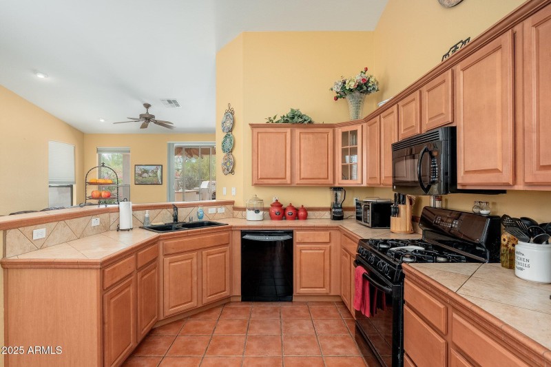 4541 E Brilliant Sky Dr - 11