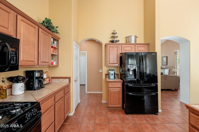 4541 E Brilliant Sky Dr - 12