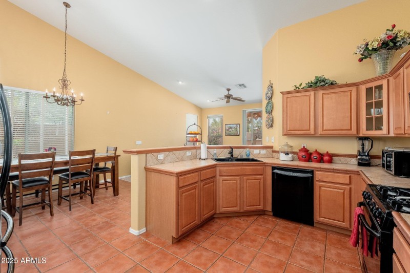 4541 E Brilliant Sky Dr - 13