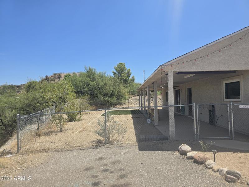 Mockingbird Shields (2)