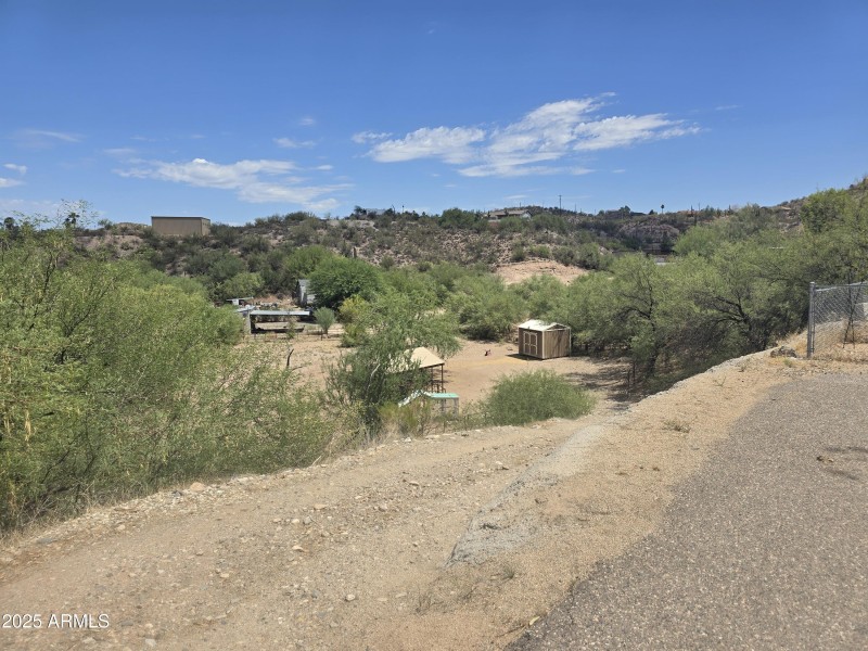 Mockingbird Shields (3)