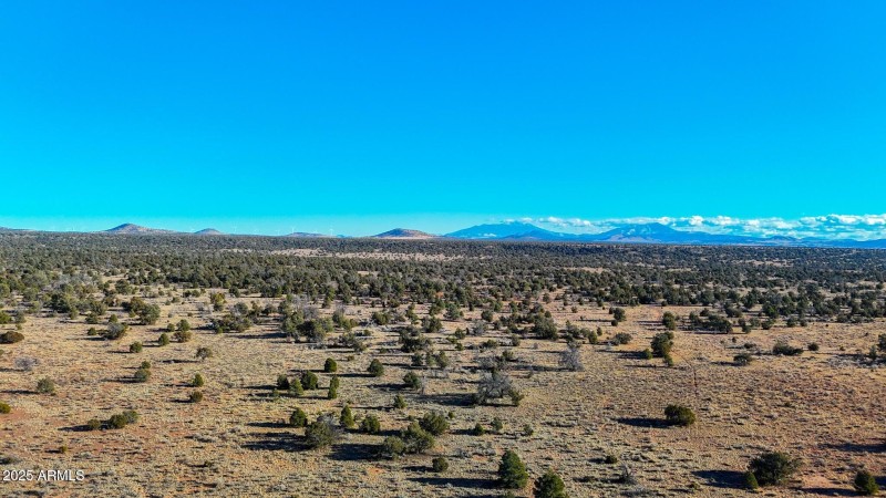 20250401070905294683000000-o