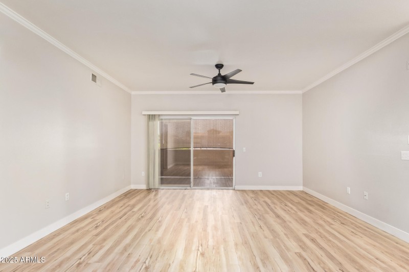 11 - Desert Foothills