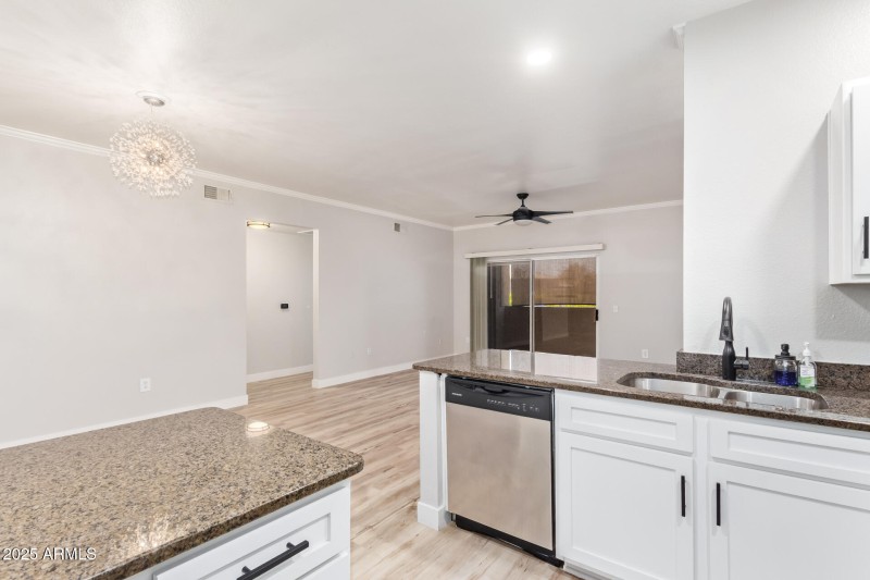 16 - Desert Foothills