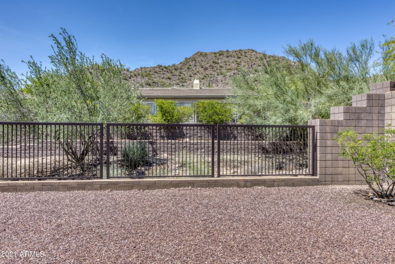 Backyard Mountain View