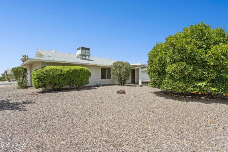 Large Spacious Yard with mature trees
