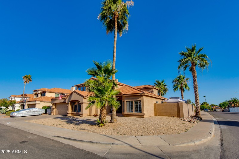 Front Yard with Palm Trees