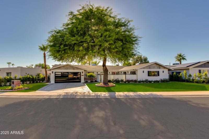 VIEW FROM THE STREET