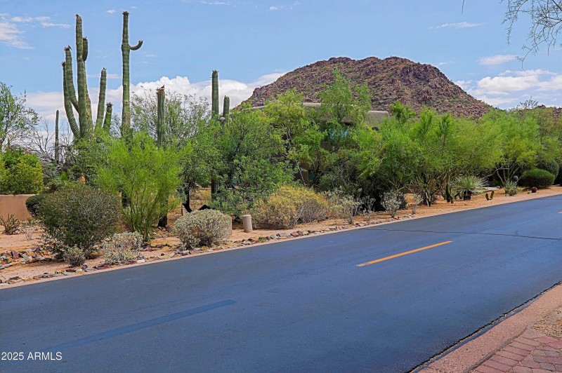 View from Driveway (1)