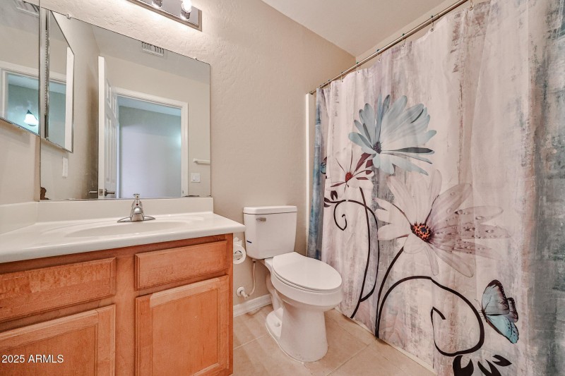 Guest bath downstairs