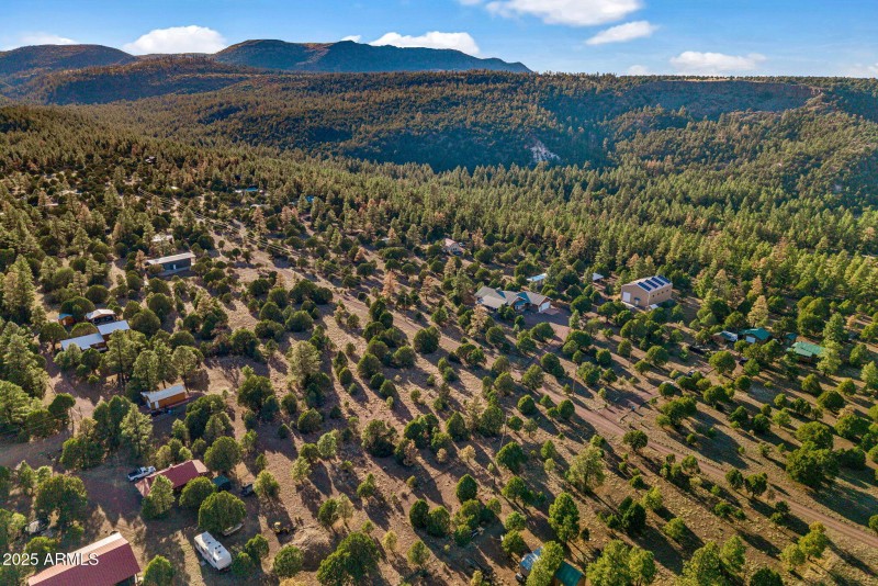 3N2163-Nutrioso-AZ-47