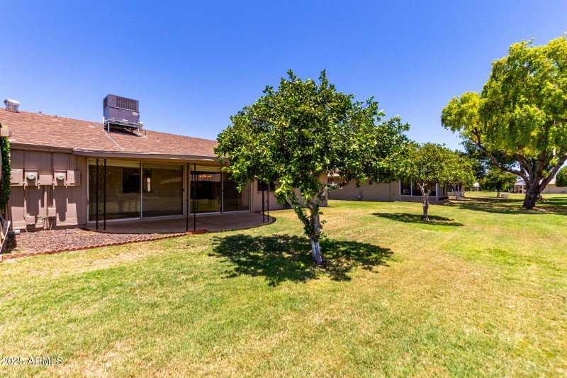 Patio and open back space