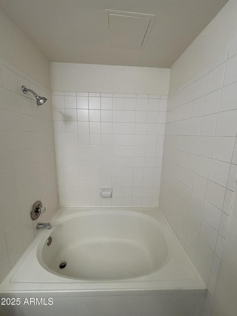 Garden Tub in Master Bathroom
