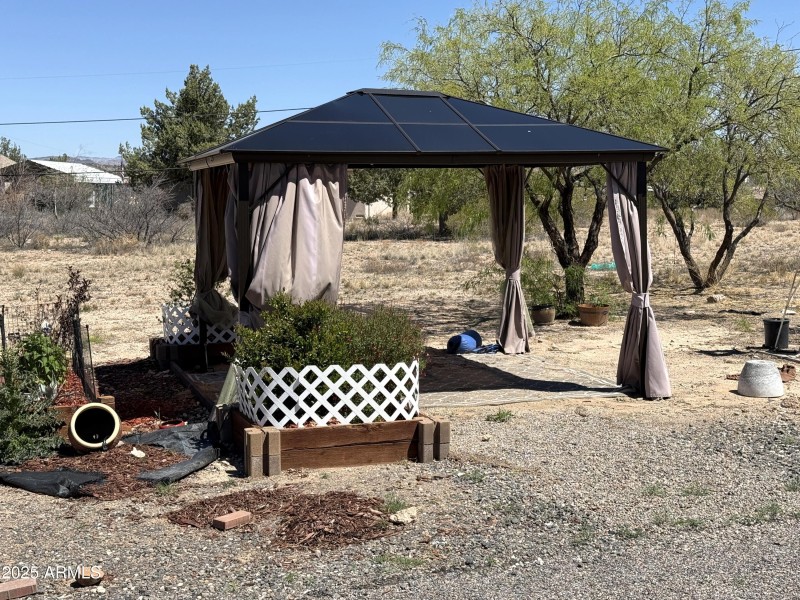 26 new tent with plants