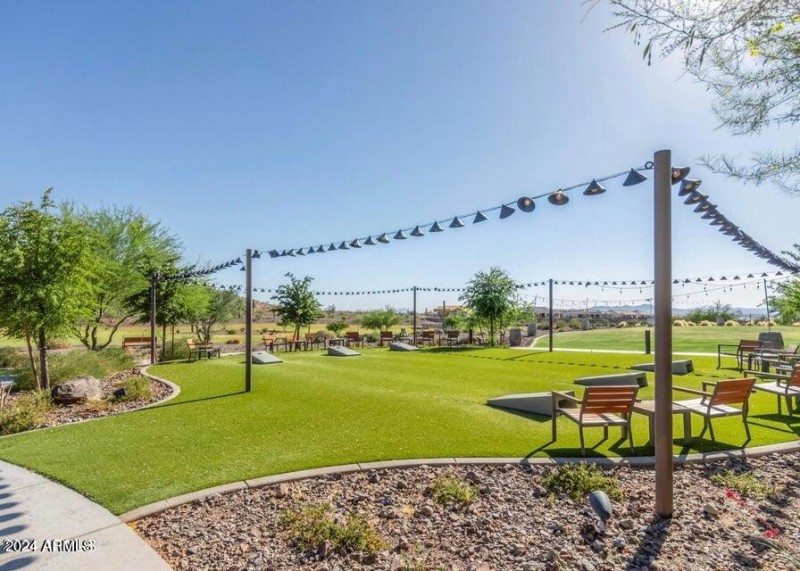 SC Festival Cornhole