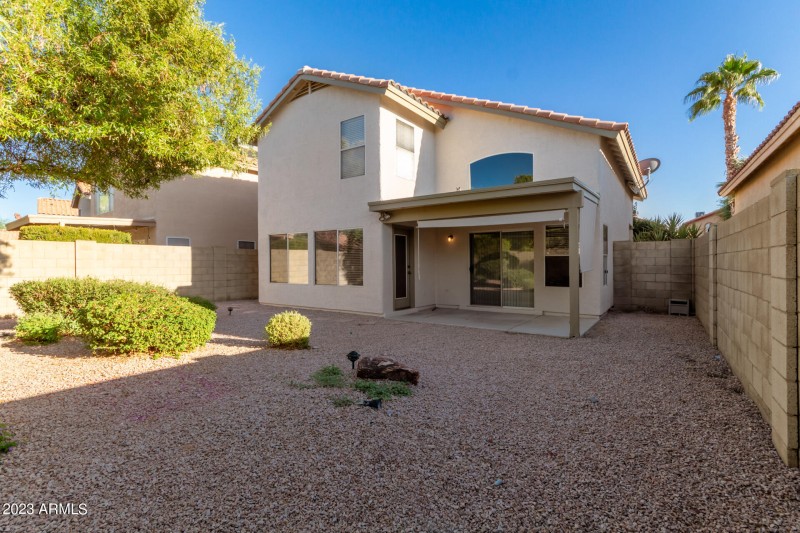 Maintenance Free Backyard