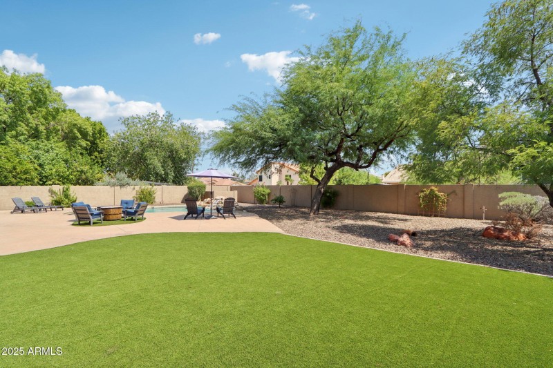 Turf Backyard