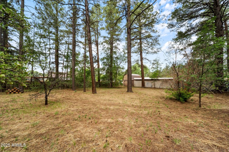 twinflamerealestatemedia-22