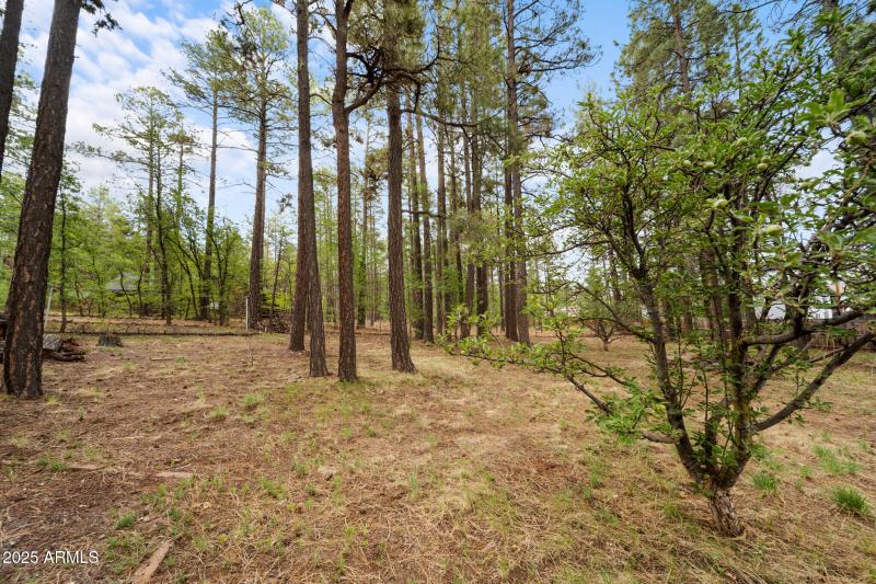 twinflamerealestatemedia-23