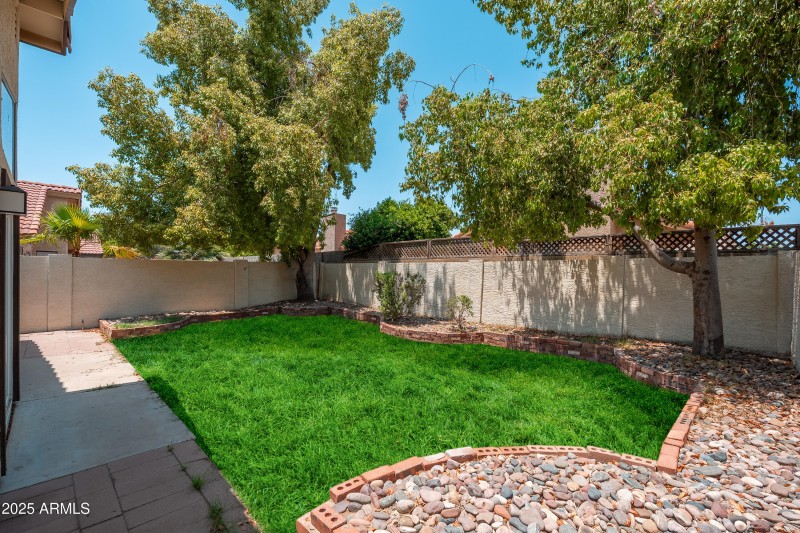 Yard - Huge Potential