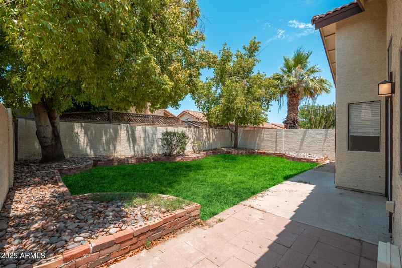 Yard - Huge Potential