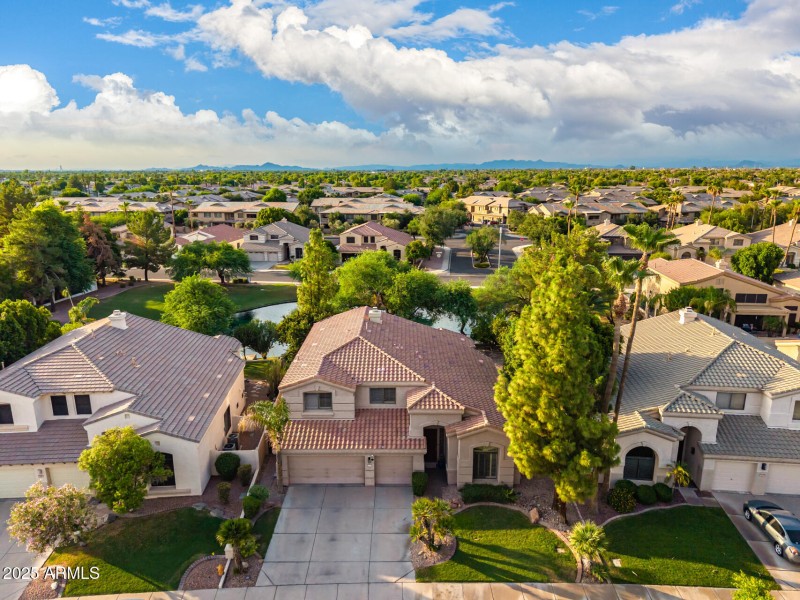 56 - Desert Broom Drone