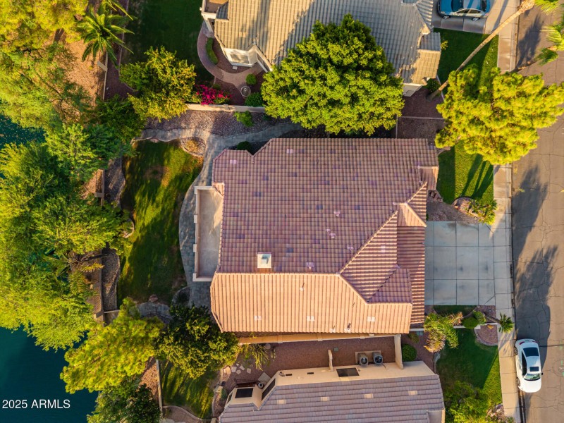 59 - Desert Broom Drone