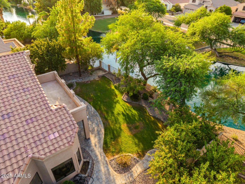 62 - Desert Broom Drone