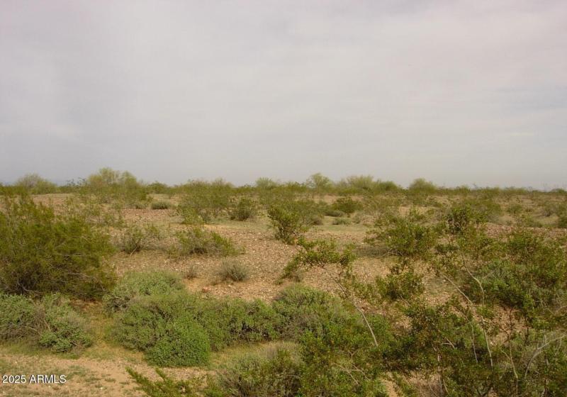 65253 HIGHWAY 60