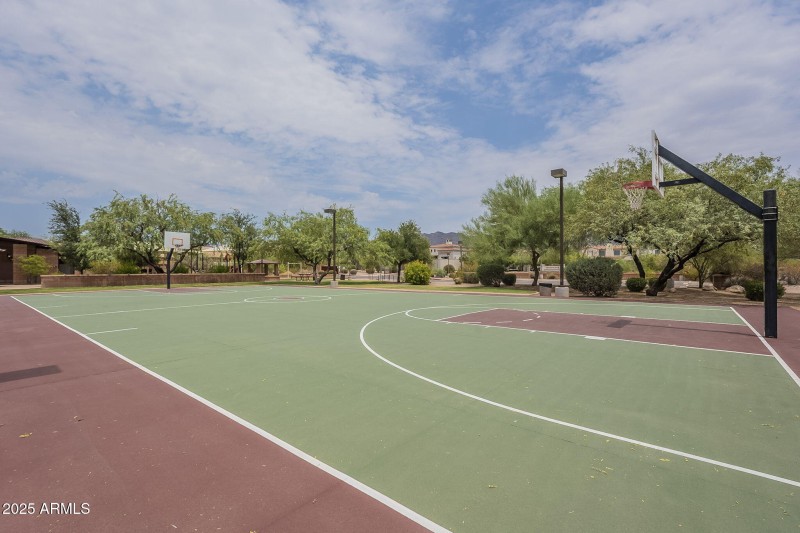 61-web-or-mls-Taro-61